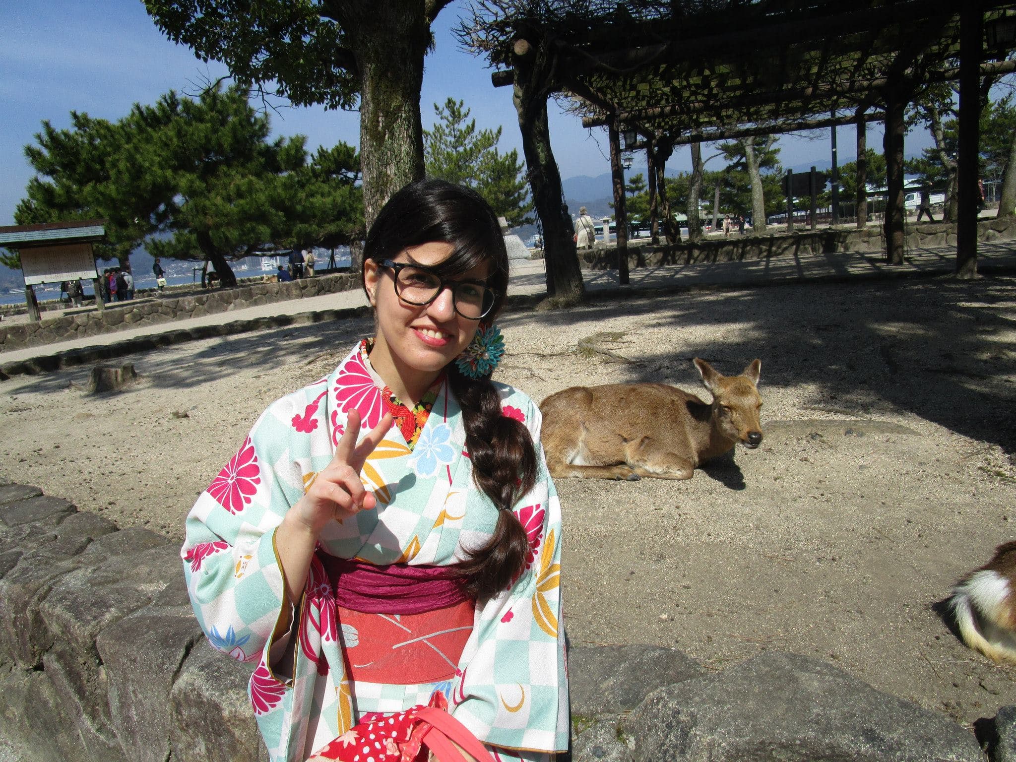 A professora em Nara, Japão